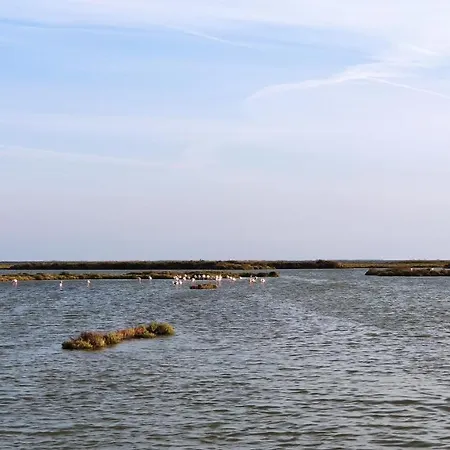 L'attic, Reserva Biosfera - Terres De L'ebre Sant Carles De La Rapita